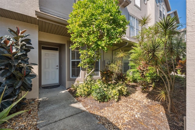 entrance to property with stucco siding