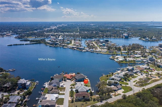 aerial view with a water view