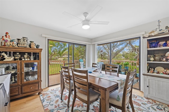 dining room featuring a ceiling fan and light wood-style flooring