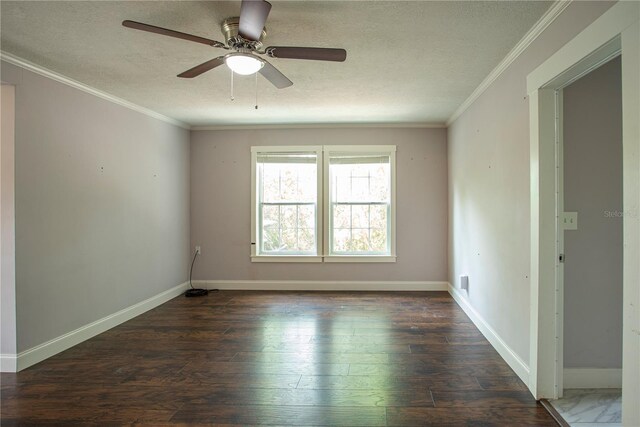 4009 N Seminole Ave, Tampa, FL 33603 - photo 4