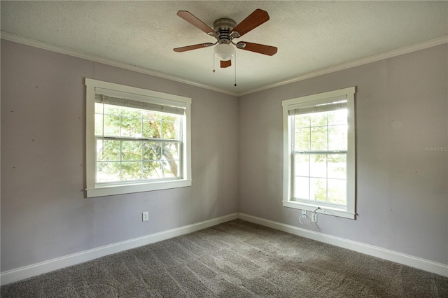 4009 N Seminole Ave, Tampa, FL 33603 - photo 10