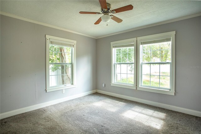 4009 N Seminole Ave, Tampa, FL 33603 - photo 15