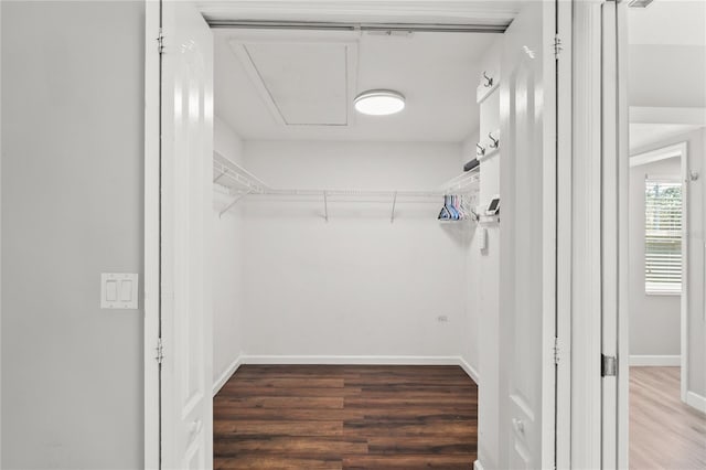 walk in closet featuring wood finished floors