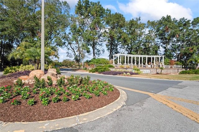 view of road featuring curbs