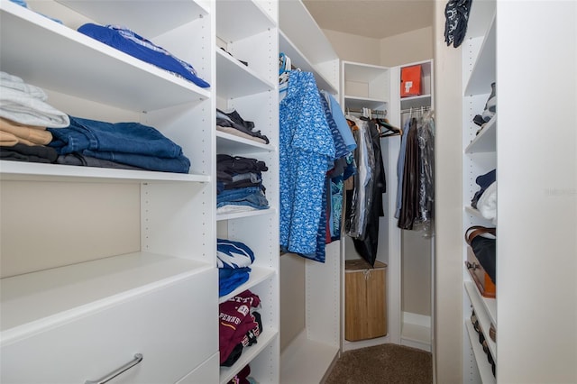 walk in closet with carpet floors