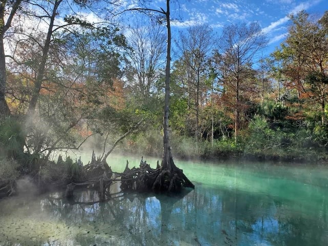 6183 Waverly Rd, Weeki Wachee, FL 34607 - water view