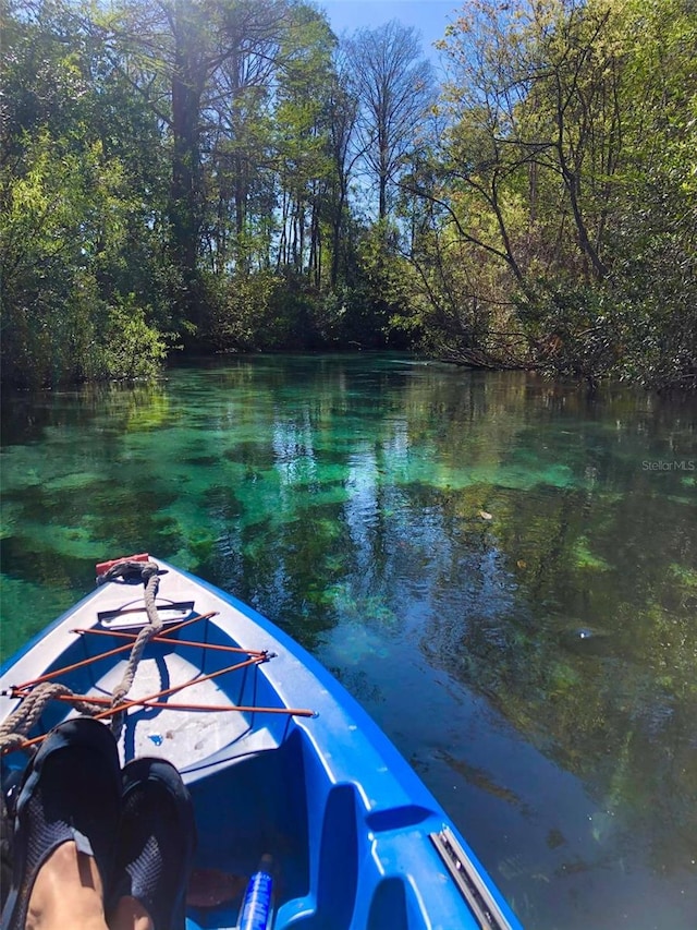 6183 Waverly Rd, Weeki Wachee, FL 34607 - dock area featuring a water view and a wooded view