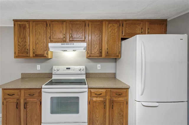 kitchen featuring under cabinet range hood, white appliances, and brown cabinetry