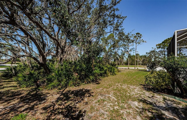 view of yard with a lanai