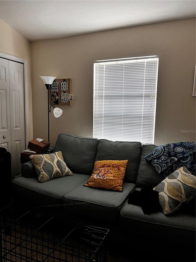 living room featuring a textured wall