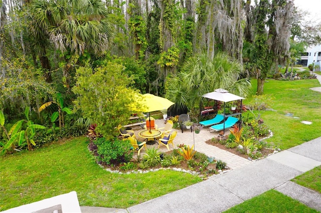 surrounding community featuring a yard and a patio