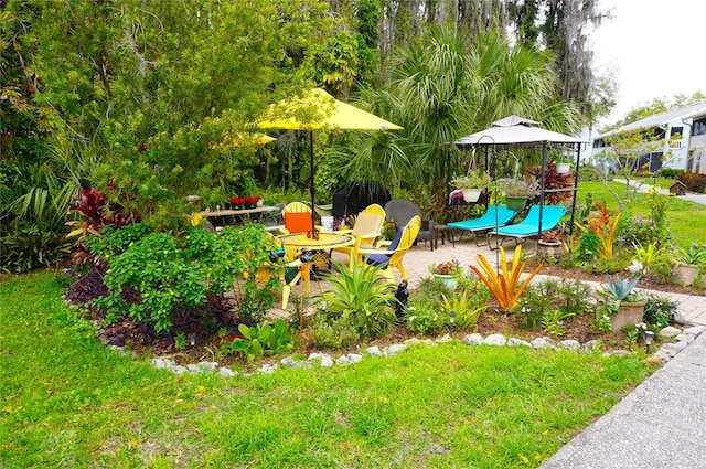 view of yard with a patio