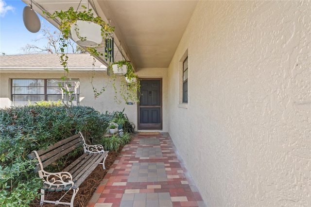 entrance to property with a shingled roof and stucco siding