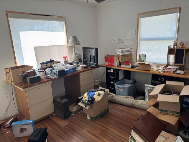 home office with plenty of natural light and wood finished floors