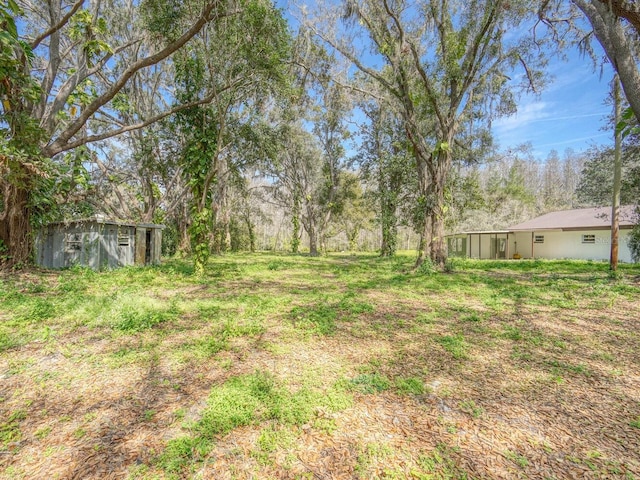 view of yard featuring a storage shed and an outdoor structure