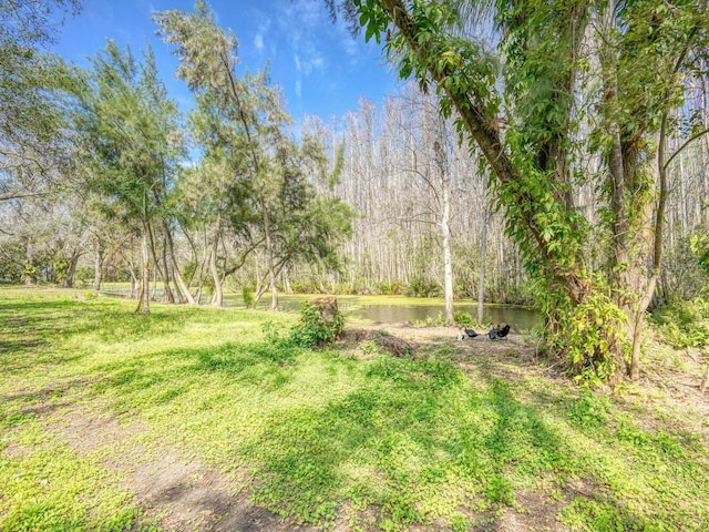 view of yard with a view of trees and a water view