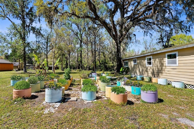 view of yard with a garden