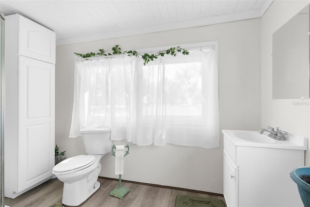 bathroom featuring vanity, crown molding, toilet, and wood finished floors