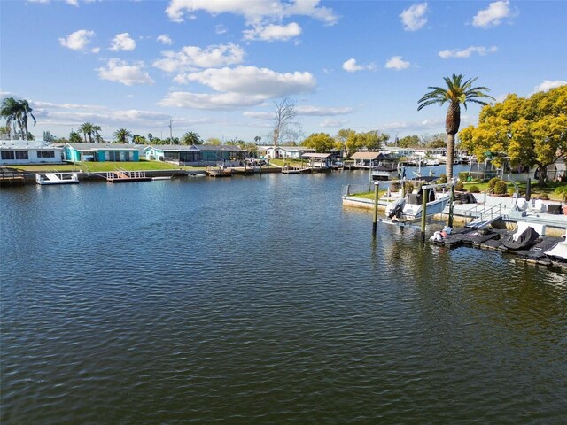 dock area featuring a water view