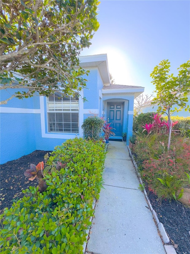 doorway to property with stucco siding