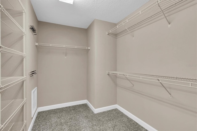 spacious closet featuring carpet