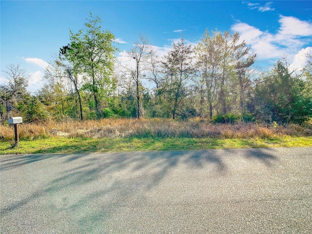 11426 Maripoe Rd, Weeki Wachee FL, 34614 land for sale