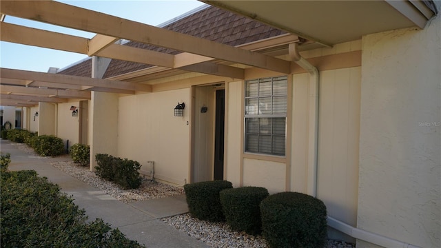 entrance to property featuring a shingled roof and stucco siding