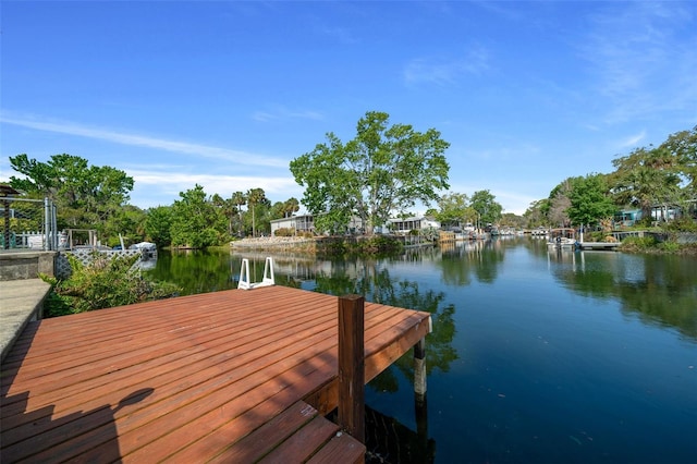 dock area with a water view