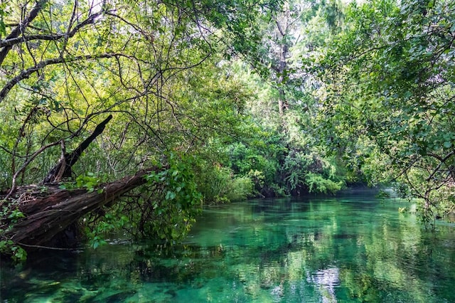 6448 W Richard Dr, Weeki Wachee, FL 34607 - view of landscape with a water view and a wooded view