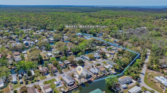 6448 W Richard Dr, Weeki Wachee, FL 34607 - aerial view with a view of trees, a residential view, and a water view