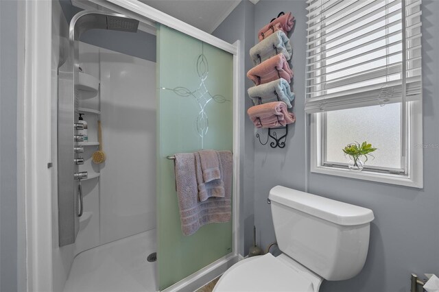 6448 W Richard Dr, Weeki Wachee, FL 34607 - full bath with toilet and a stall shower