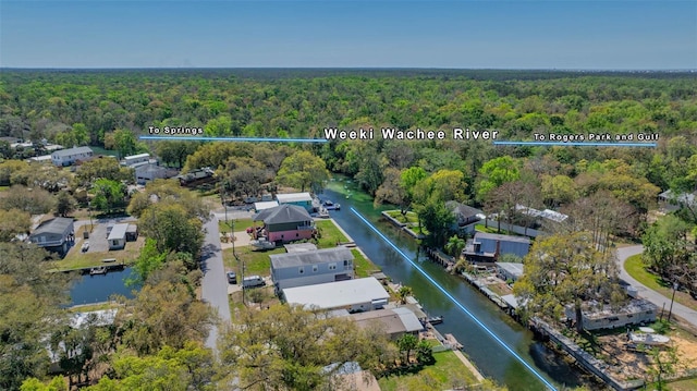 6448 W Richard Dr, Weeki Wachee, FL 34607 - birds eye view of property with a forest view and a water view
