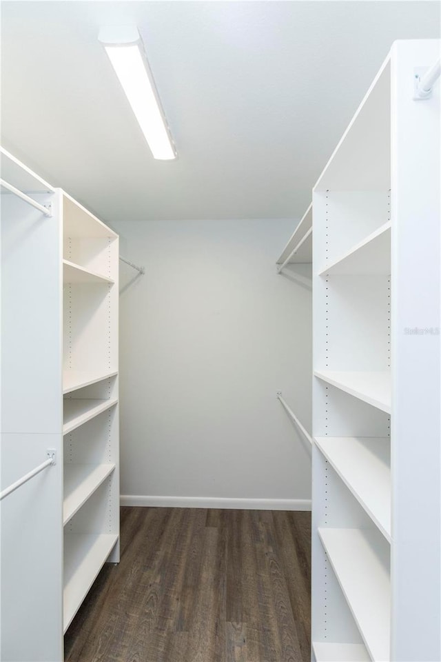 spacious closet featuring dark wood-type flooring