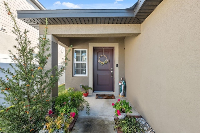 view of exterior entry featuring stucco siding