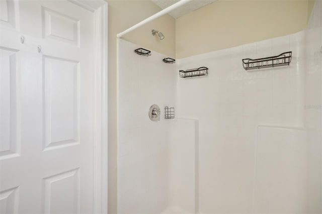 interior details with tiled shower