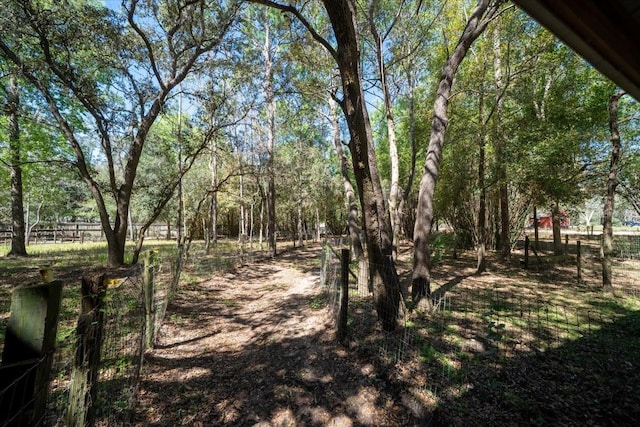 view of local wilderness