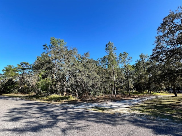 11056 Flatwood Ave, Spring Hill FL, 34613 land for sale