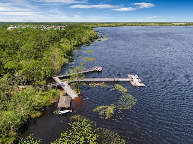 bird's eye view with a water view and a view of trees