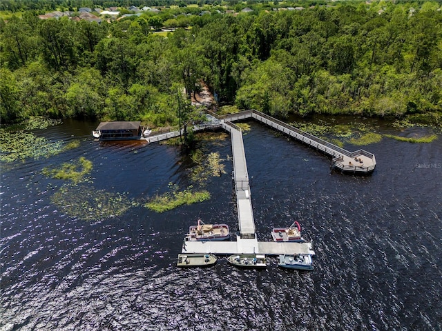 drone / aerial view with a water view and a view of trees