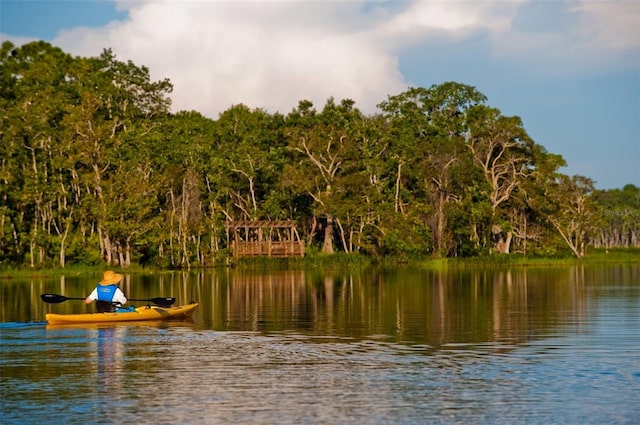 property view of water with a dock and a wooded view