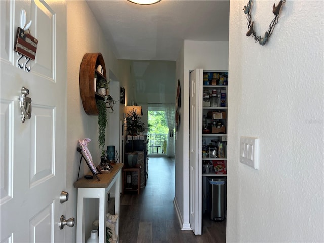 hallway with dark wood finished floors