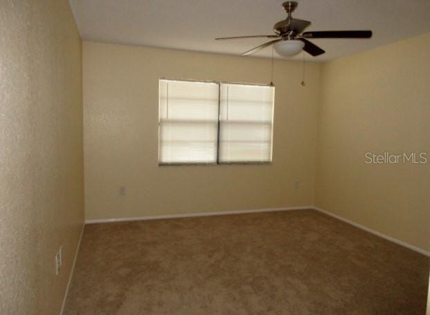 10020 Vancouver Rd, Spring Hill, FL 34608 - photo 13