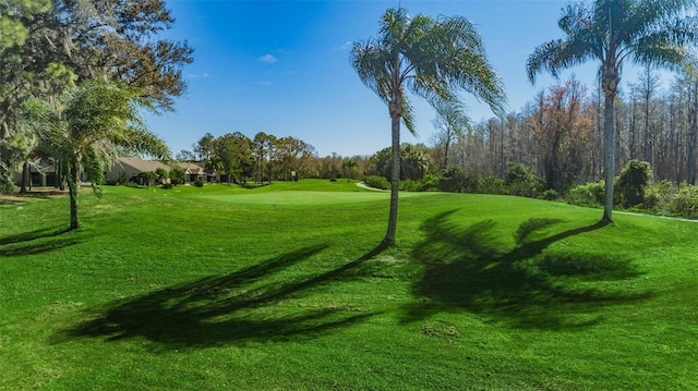 view of property's community with a lawn