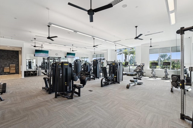 exercise room featuring carpet floors, visible vents, and a ceiling fan