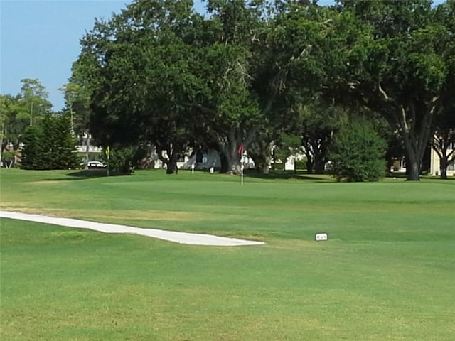 view of community featuring a yard