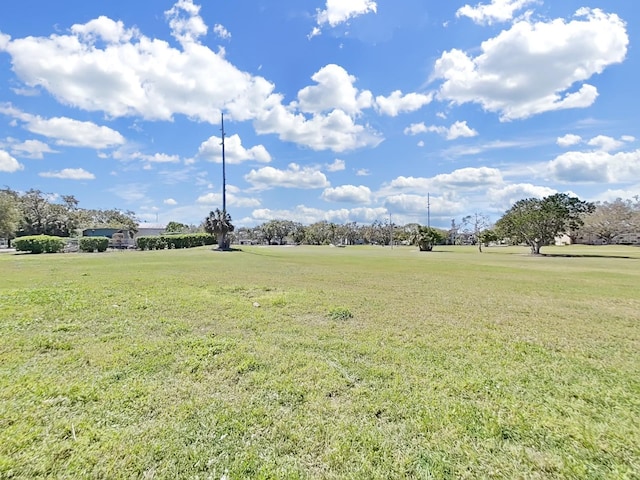 view of yard