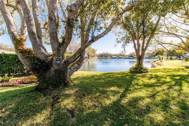 property view of water