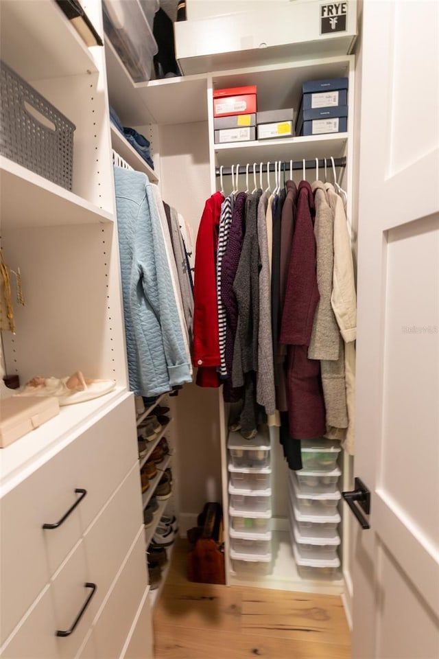 spacious closet featuring wood finished floors