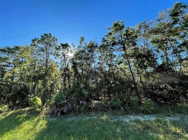 Listing photo 2 for 16 Mayten Ct N, Homosassa FL 34446