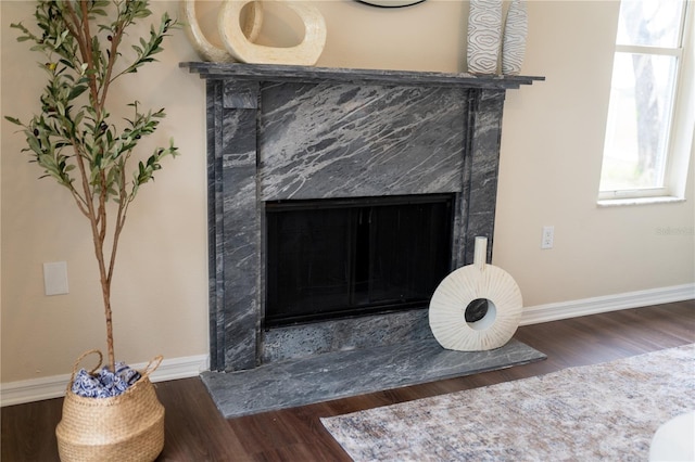 room details featuring baseboards, wood finished floors, and a high end fireplace